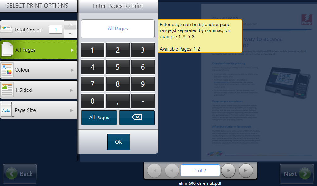 <strong>Step 12: Select pages to print</strong>