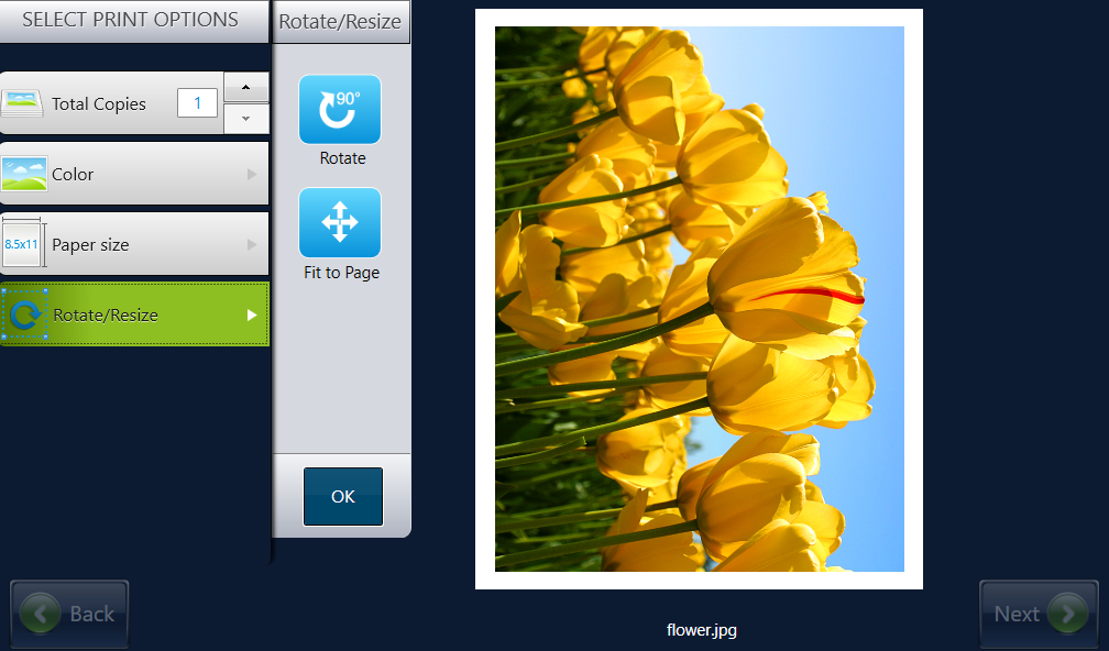 Step 9: Preview image