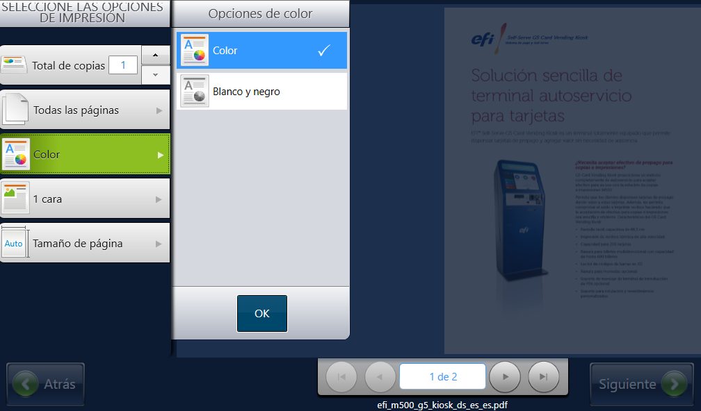 Paso 10: Seleccione las opciones de color