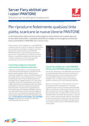 Document preview