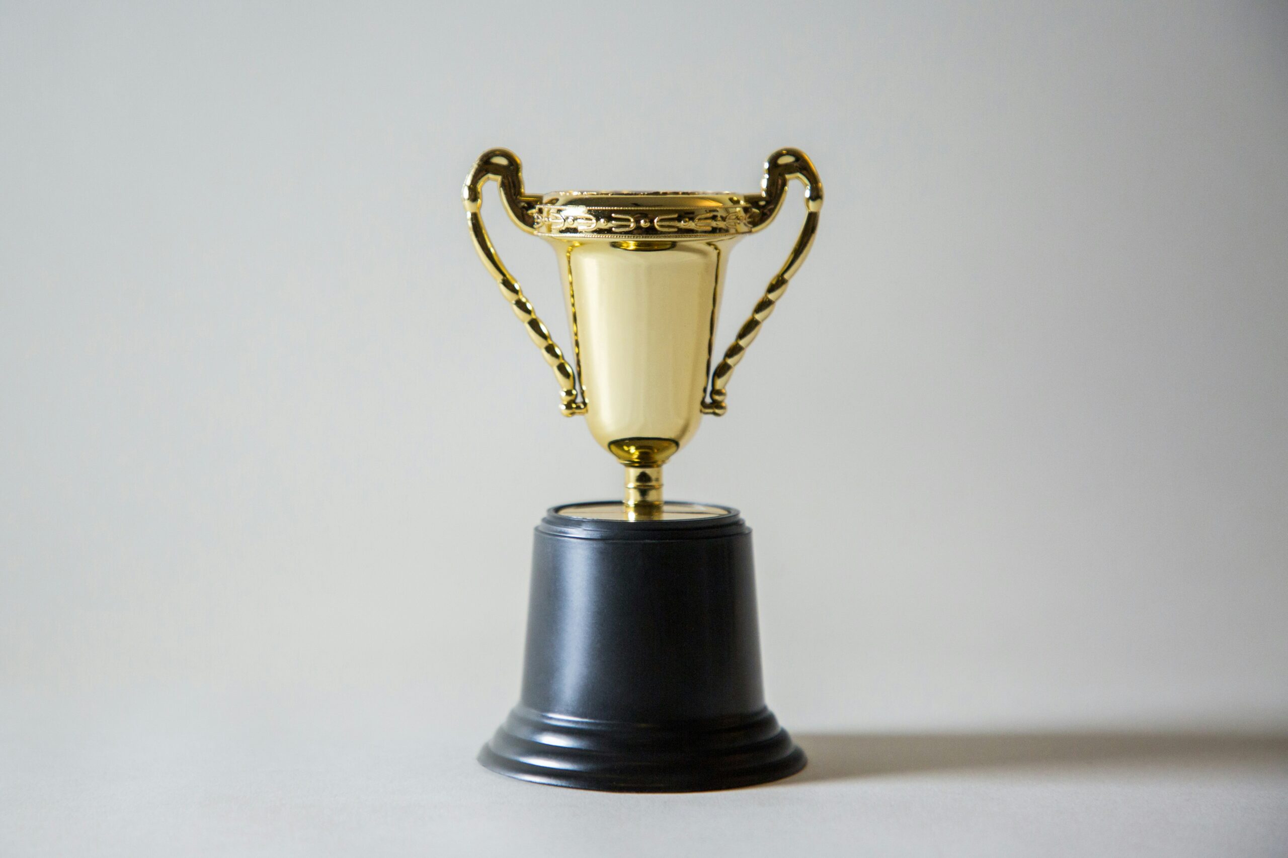 Fiery Platinum Partner Program