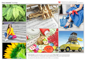 Document preview