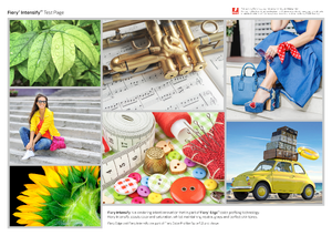 Document preview